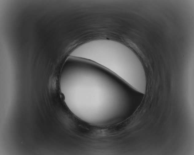 X0000086720071200704130736