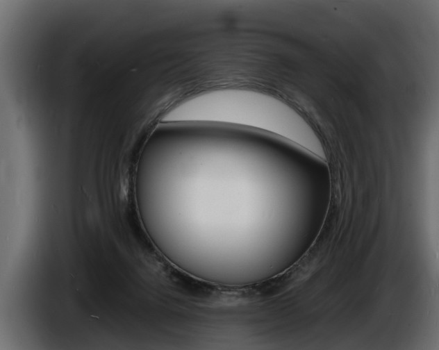 X0000086720072200704130736