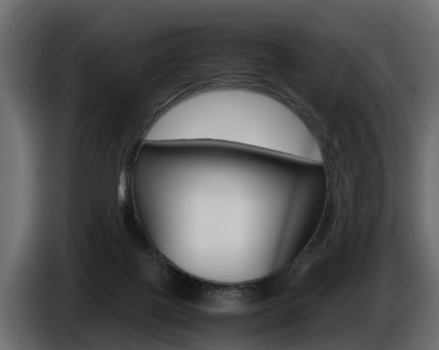 X0000086720075200704130736