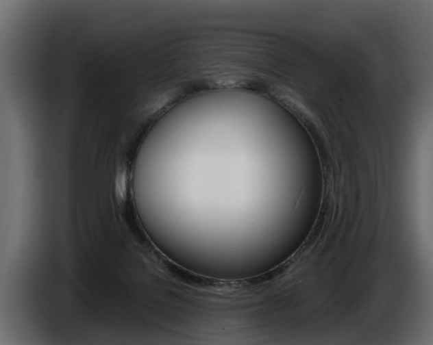 X0000086720076200704130736