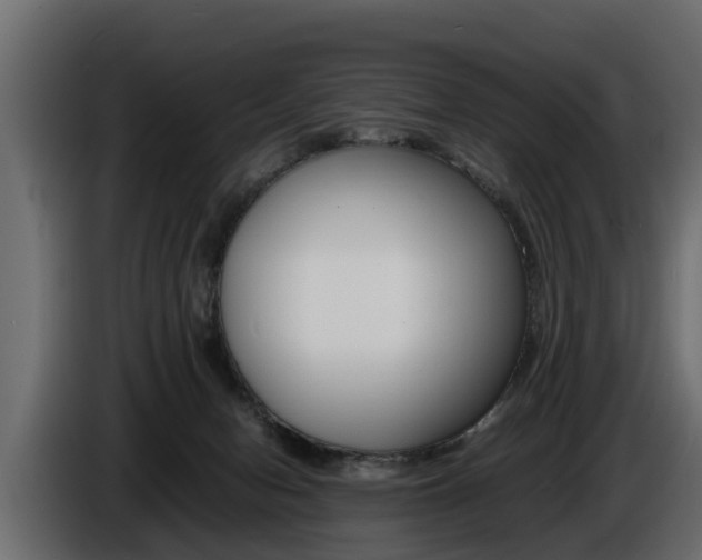 X0000086720078200704130736