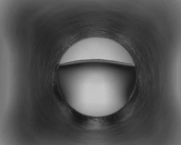 X0000086720079200704130736