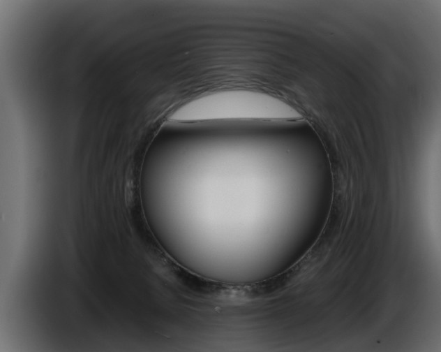 X0000086720080200704130736