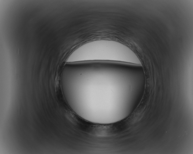 X0000086720081200704130736