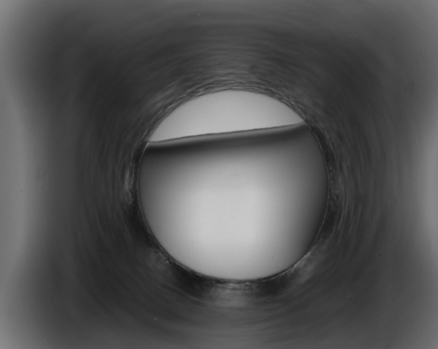 X0000086720082200704130736