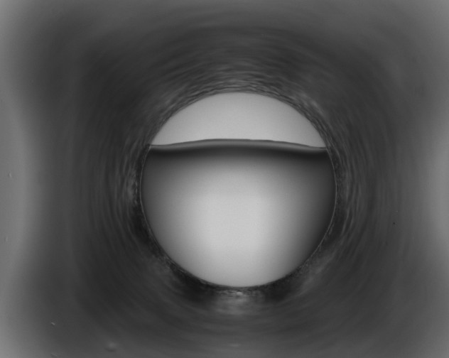 X0000086720083200704130736