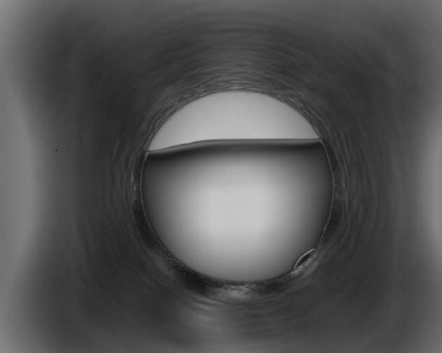 X0000086720086200704130736