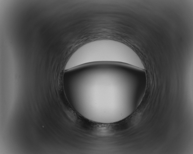 X0000086720088200704130736