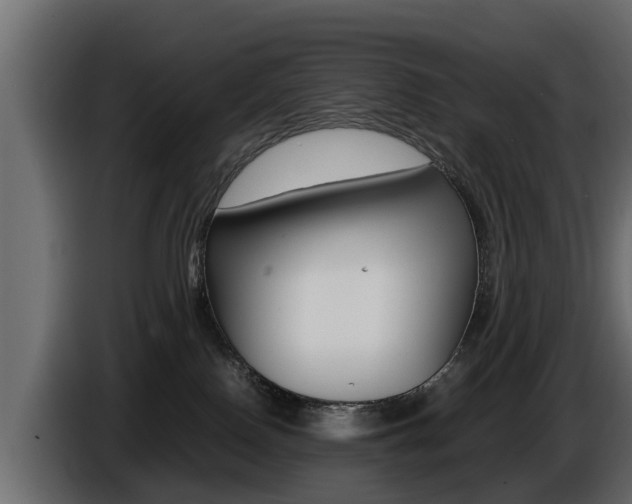X0000086720090200704130736