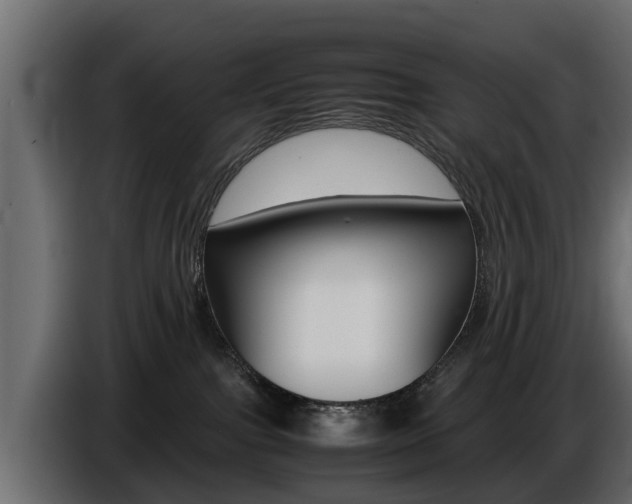X0000086720091200704130736