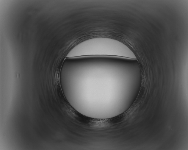 X0000086720093200704130736