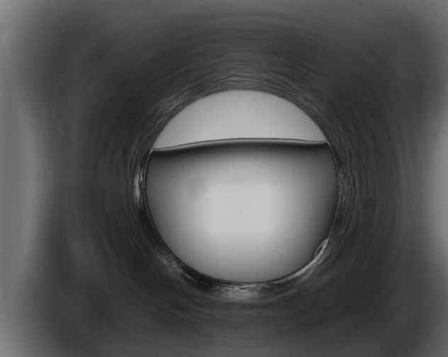 X0000086720094200704130736
