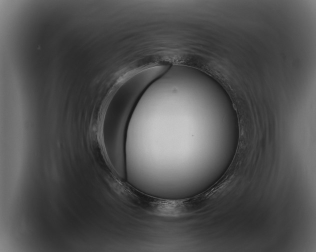 X0000086720096200704130736