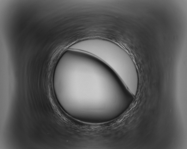 X0000086720097200704130735