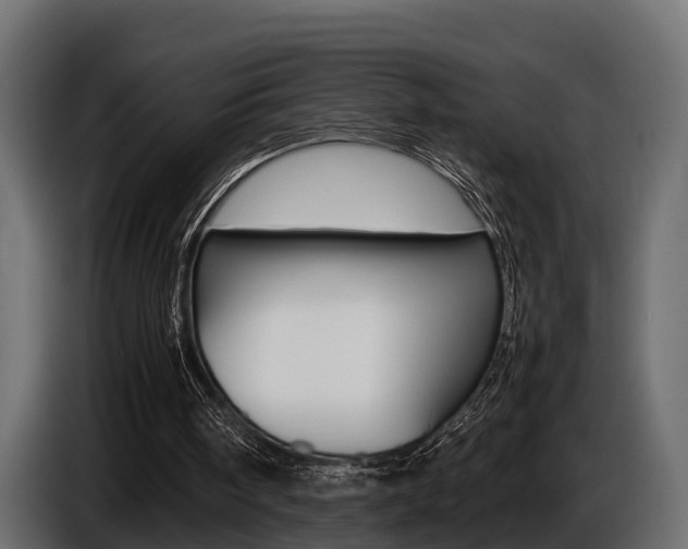 X0000086720098200704130735