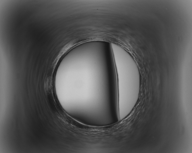 X0000086720099200704130735