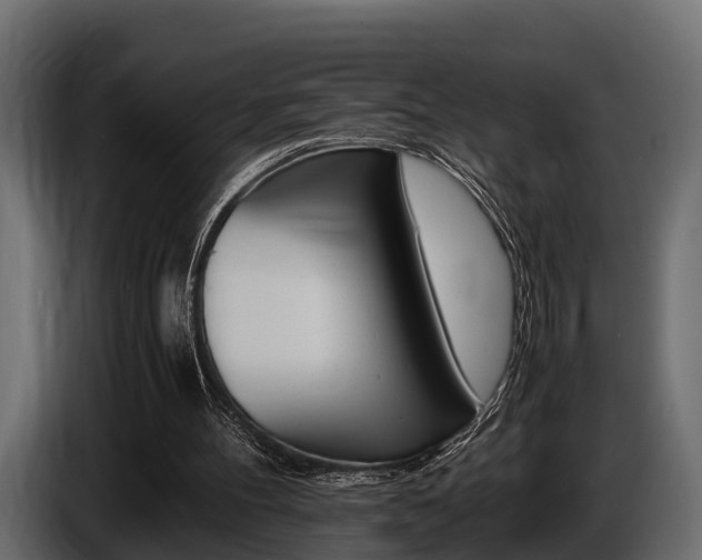 X0000086720100200704130735