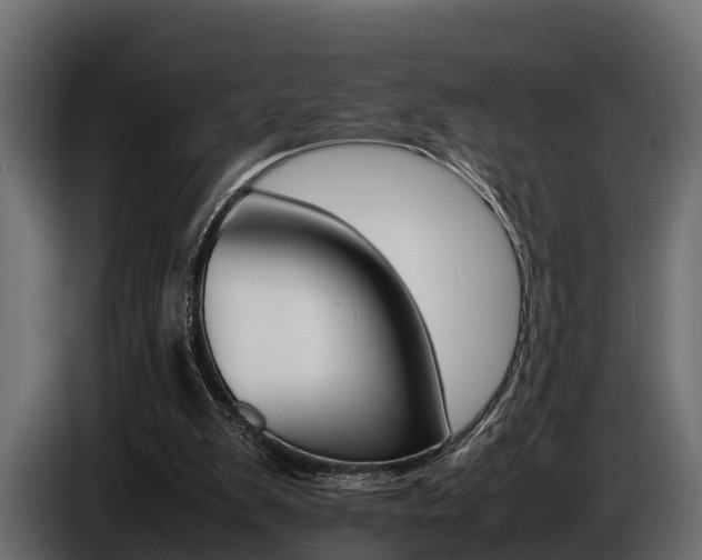 X0000086720103200704130735
