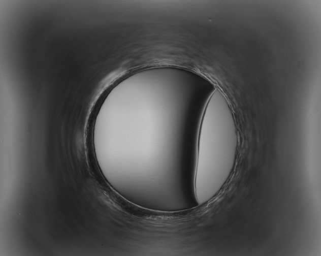 X0000086720104200704130735