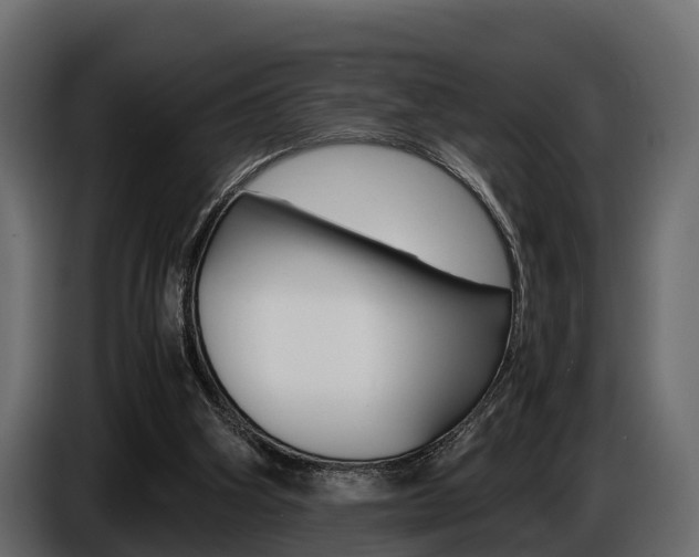 X0000086720106200704130735