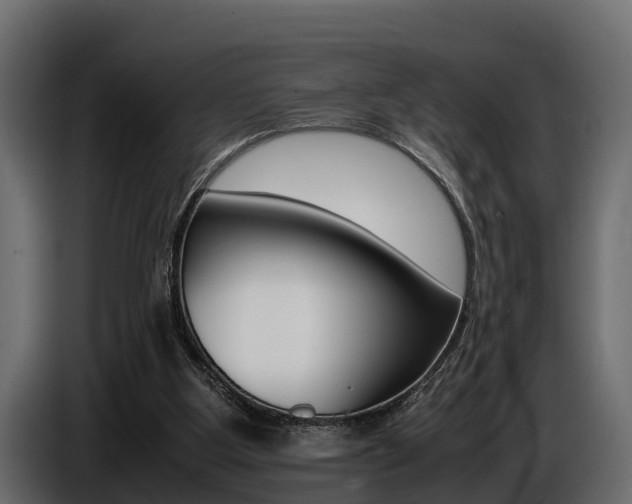 X0000086720107200704130735
