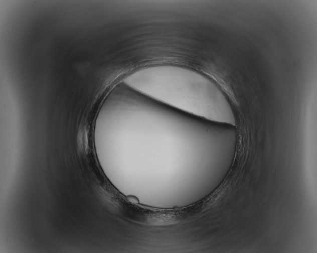 X0000086720110200704130735