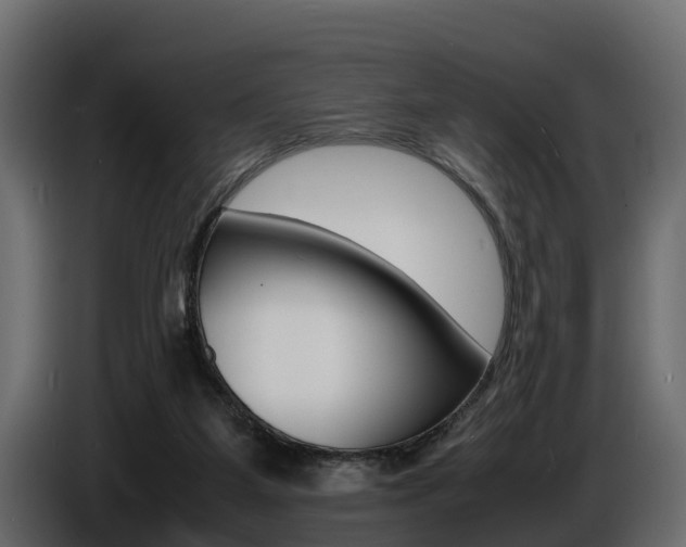 X0000086720115200704130735