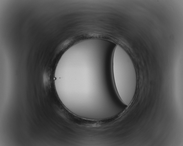 X0000086720116200704130735