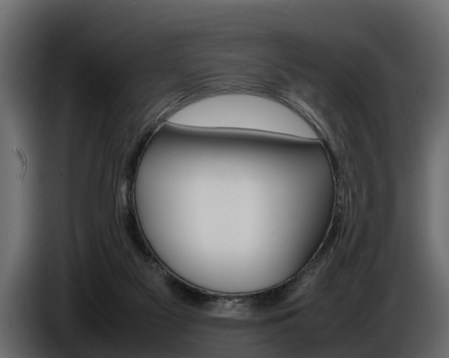 X0000086720117200704130735