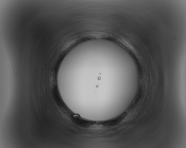 X0000086720119200704130735