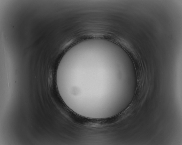 X0000086720120200704130735