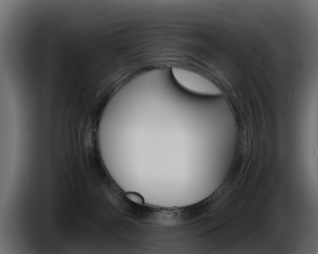 X0000086720126200704130735