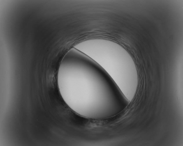 X0000086720127200704130735