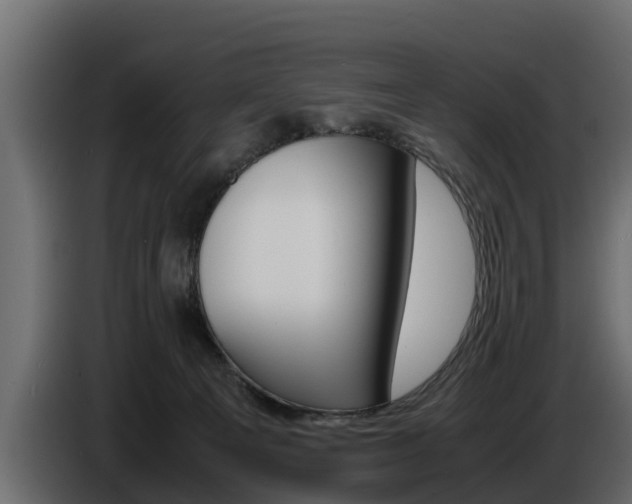 X0000086720129200704130735