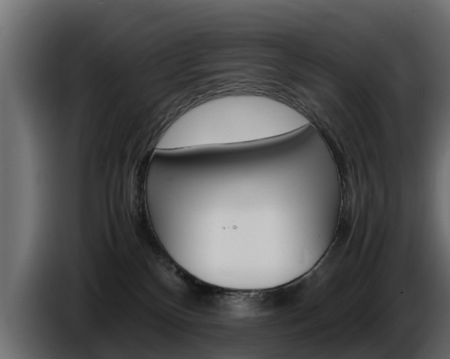 X0000086720136200704130735