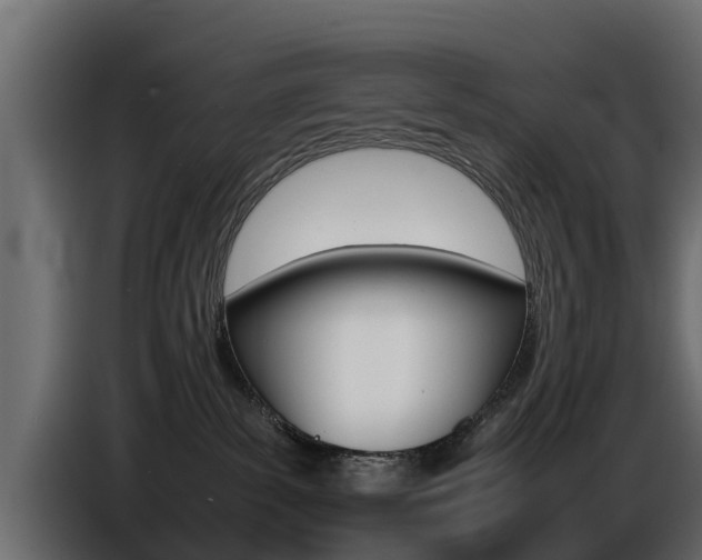 X0000086720139200704130735