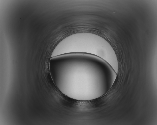 X0000086720141200704130735