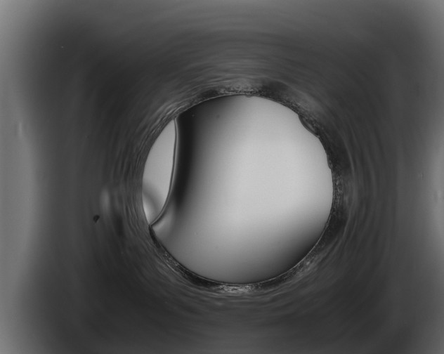 X0000086720143200704130735