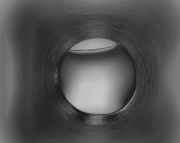 X0000086720144200704130735