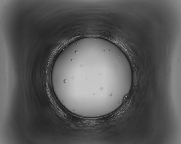 X0000086720145200704130734