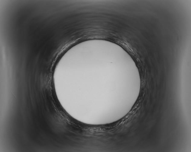 X0000086720146200704130734