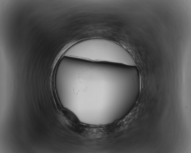X0000086720147200704130734