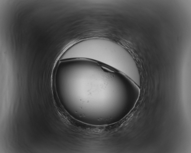 X0000086720148200704130734