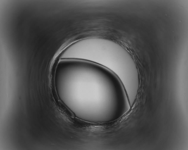 X0000086720150200704130734