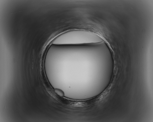 X0000086720151200704130734