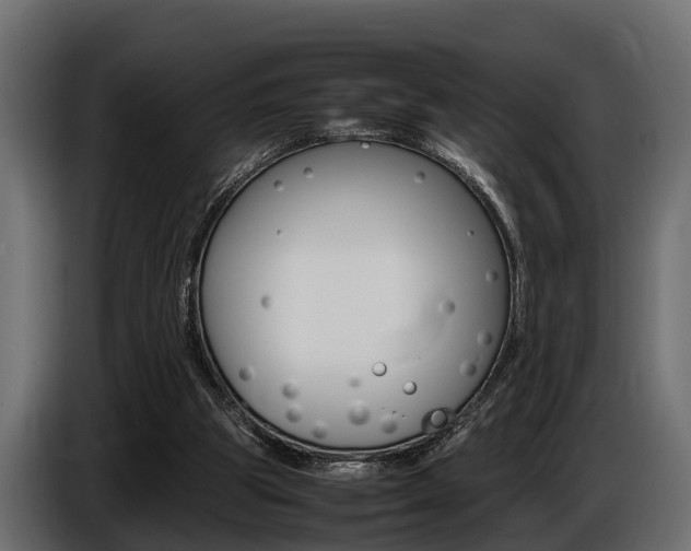 X0000086720153200704130734