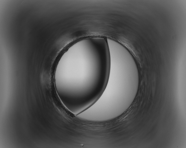 X0000086720156200704130734