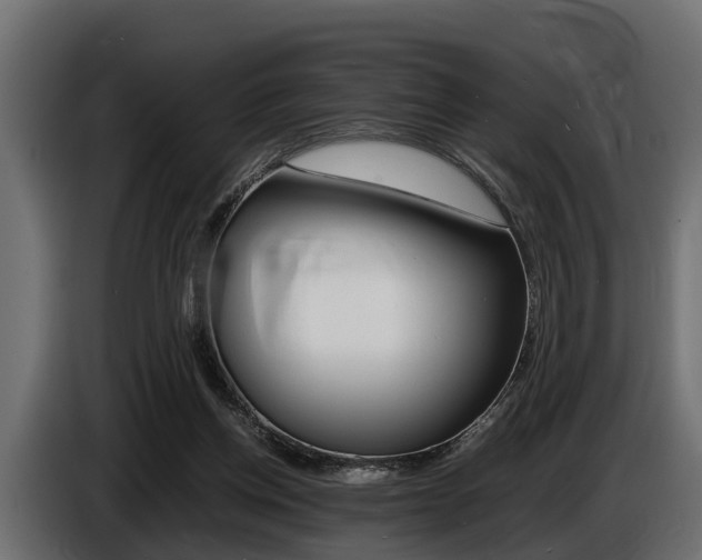 X0000086720158200704130734
