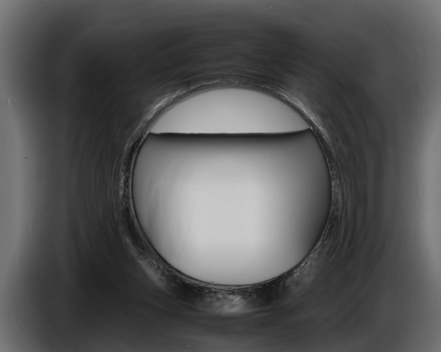 X0000086720159200704130734