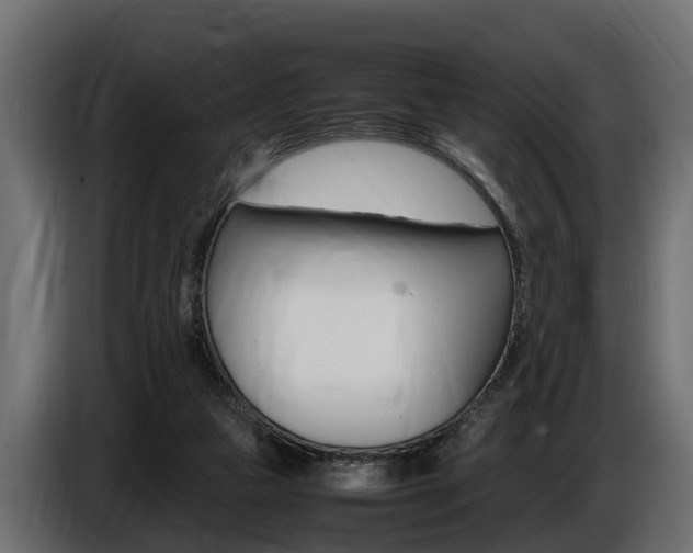 X0000086720161200704130734